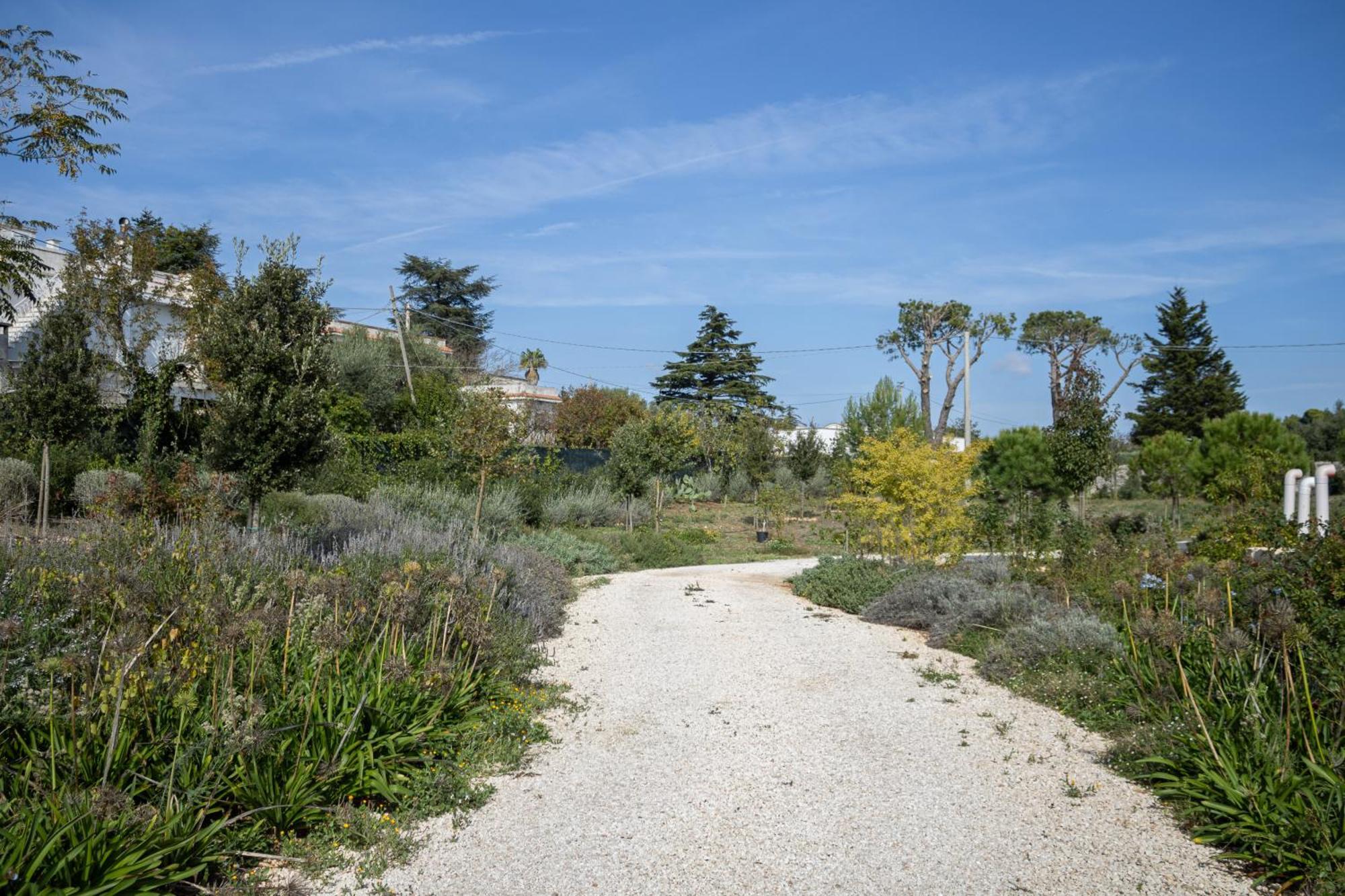 Villa Ada-Trulli Puglia Martina Franca Extérieur photo